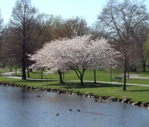 Baker Park, Frederick, MD